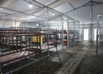 Estados Unidos inicia deportaciones desde nuevo centro migratorio Alcatraz Alligator en Florida