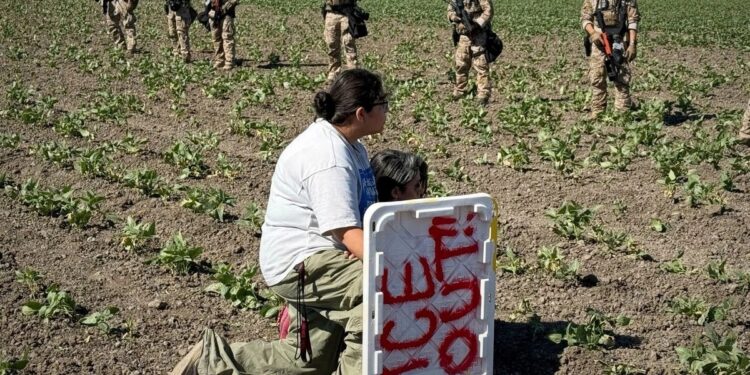 Muere jornalero tras operativo migratorio en Ventura County