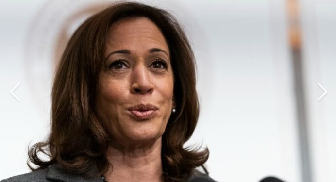 Kamala Harris descartó postularse como gobernadora de California