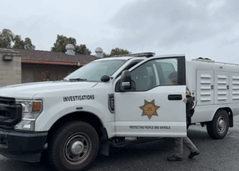 Identifican a responsable de arrastrar a perro en Spring Valley