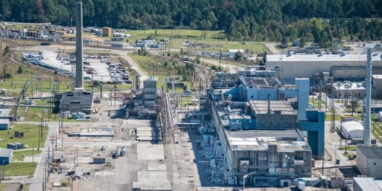 Detectan nido de avispas radiactivo en planta nuclear de Carolina del Sur