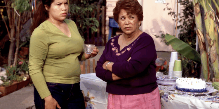 Real Woman Have Curves