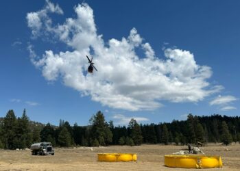 Incendio activo en Sierra de San Pedro Mártir afecta 950 hectáreas