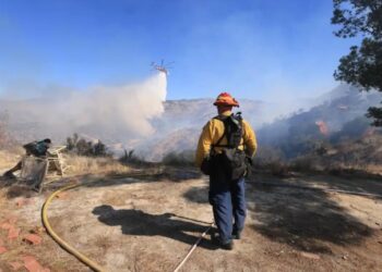 Contienen incendio de vegetación en Torrey Highlands, San Diego