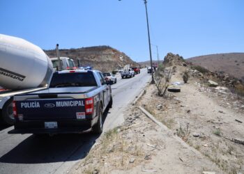 Liberan a hombre acusado de maltrato tras comprobarse atropello a perro