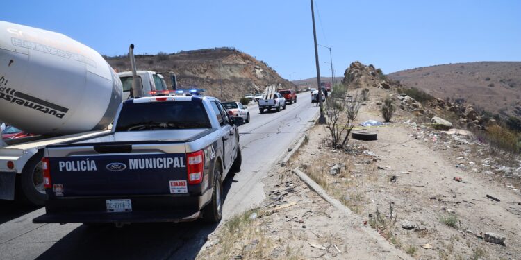 Liberan a hombre acusado de maltrato tras comprobarse atropello a perro