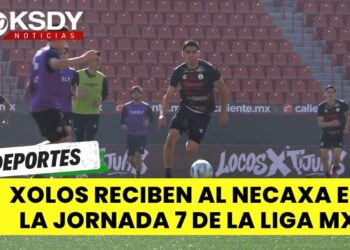 SD Wave jugaran de visitantes contra el equipo de Seattle buscando arrebatarle los 3 puntos