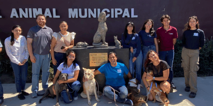 Centro de Control Animal en Tijuana se transforma para priorizar salud y protección animal
