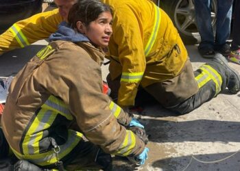 Incendio en vivienda de Tijuana dejó ocho perros muertos