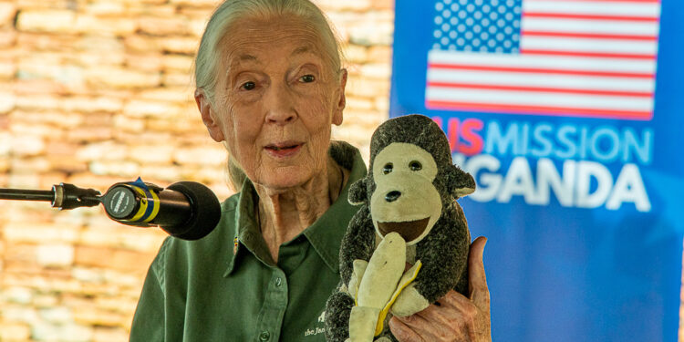 Jane_Goodall_visits_United_States_Mission_Uganda_on_4_April_2022_-_5