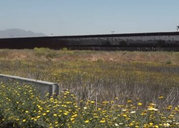 Rescatan a mujer que quedó atrapada en alambre de púas al tratar de cruzar el muro fronterizo