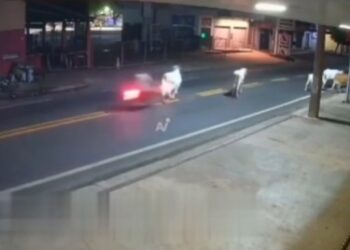 Muere futbolista brasileño tras chocar su motocicleta contra una vaca