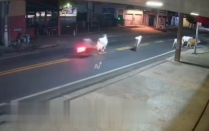 Muere futbolista brasileño tras chocar su motocicleta contra una vaca