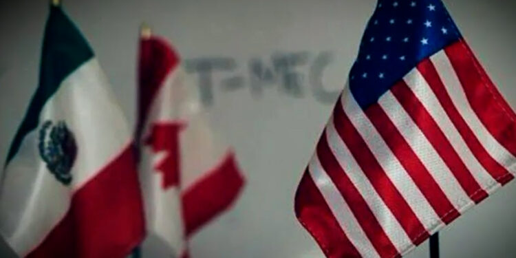 México deberá adaptarse al estilo político de Trump en materia comercial