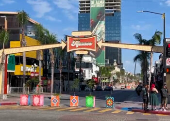 Avanza la construcción del andador peatonal en la avenida Revolución, en Tijuana