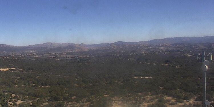 Controlan incendio forestal en zona sur del condado de San Diego