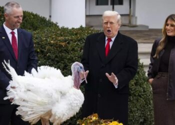 Trump indultó a dos pavos en tradicional ceremonia de Thanksgiving