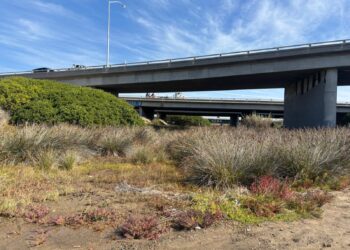 Primer año de operación coordinada para desmantelar campamento en el lecho del río San Diego