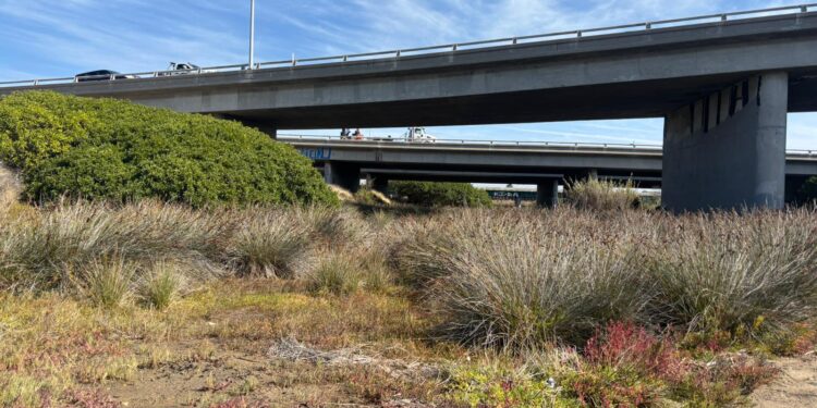 Primer año de operación coordinada para desmantelar campamento en el lecho del río San Diego