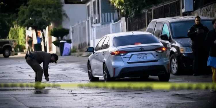 Fiscalía identifica a tres posibles implicados en el asesinato de la abogada Emilia Ortega Aceves