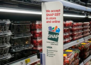 Corte Suprema permite retrasar pago total de beneficios SNAP
