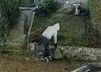 FBI detiene a sospechoso por las bombas colocadas en Washington cerca de sedes partidistas en 2021