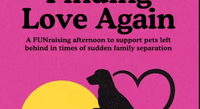 Recaudan fondos en apoyo a refugios saturados por aumento de mascotas ingresadas tras deportaciones