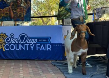 Impulsa Feria del Condado de San Diego programas comunitarios en su edición ‘Once Upon a Fair’ 2026