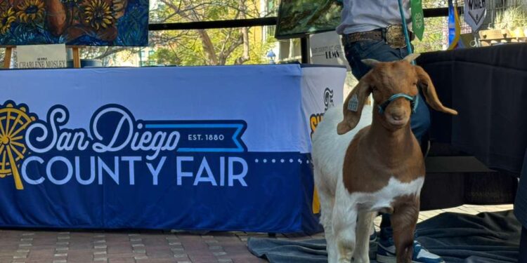 Impulsa Feria del Condado de San Diego programas comunitarios en su edición ‘Once Upon a Fair’ 2026
