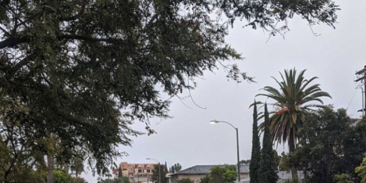 Tormenta invernal provoca afectaciones en el Aeropuerto de San Diego