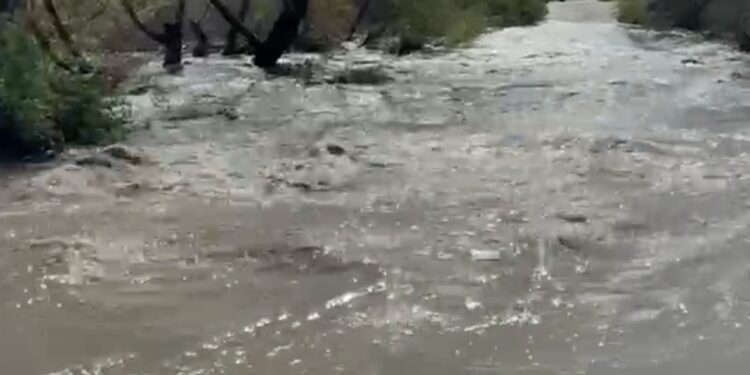Video capta inundación y cierre preventivo en Saturn Boulevard; alertan por riesgo de agua contaminada tras la lluvia