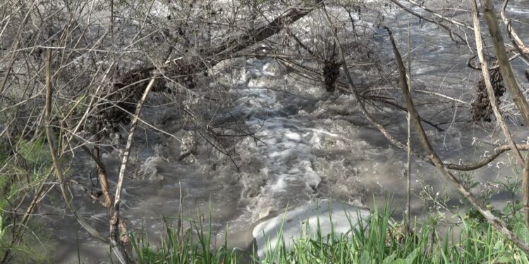Ola de calor provoca aumento de olores tóxicos por flujo de aguas residuales en South Bay