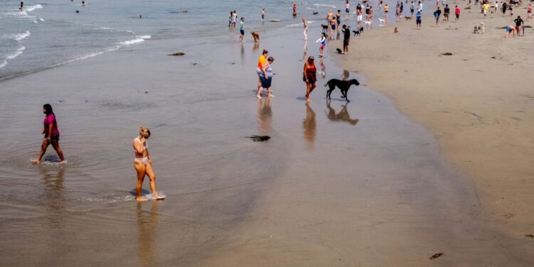 Descarga de aguas residuales obliga a cerrar el área para perros en Ocean Beach