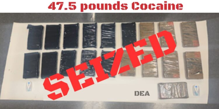 DEA asegura millones de dosis de fentanilo y realiza más de 3 mil arrestos en operativo nacional