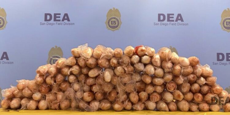 DEA avanza en su misión de erradicar el fentanilo con masivas incautaciones en 2026