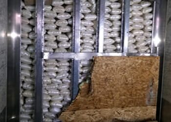 Aseguran más de 3 mil libras de metanfetamina en la Garita Otay Mesa