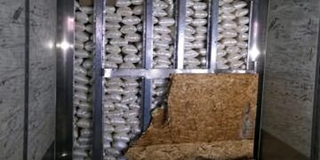 Aseguran más de 3 mil libras de metanfetamina en la Garita Otay Mesa