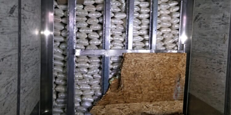 Aseguran más de 3 mil libras de metanfetamina en la Garita Otay Mesa