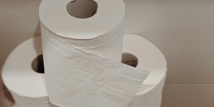 papel-bano-desaparecera-tendencias-argentina