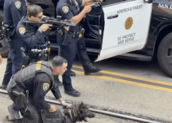 policia-san-diego-somete-hombre-unidad-k9