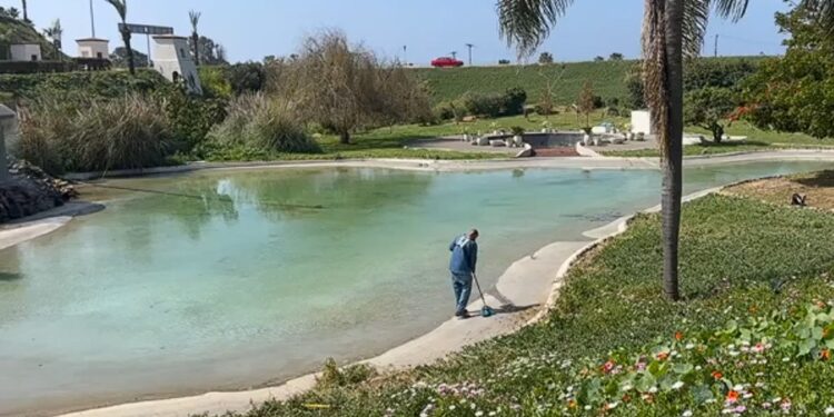 Grupo FRISA responde a denuncias de vecinos de Real del Mar por posible contaminación de agua