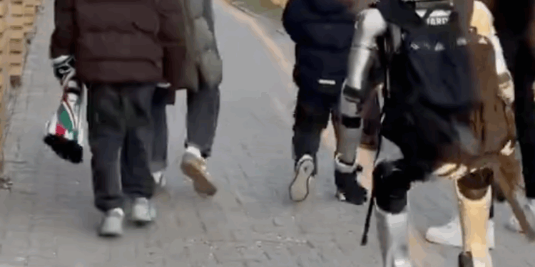 robot-humanoide-persigue-jabalies-viral-polonia