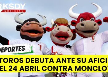 Toros inauguran la temporada en casa el viernes 24 ante su afición