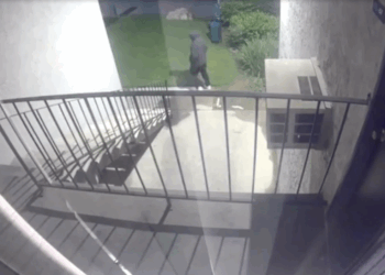 video-presunto-tirador-spring-valley