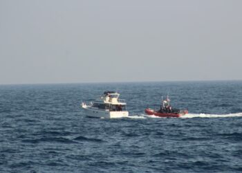 Interceptan a 36 migrantes frente a la costa de San Diego