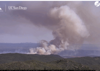 Cierre de carreteras y evacuaciones por rápido avance de incendio en la I-8 y la Ruta 94