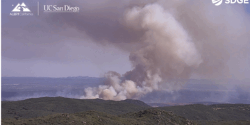 Cierre de carreteras y evacuaciones por rápido avance de incendio en la I-8 y la Ruta 94