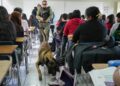 Inspeccionan CBTis 237 y Secundaria 78 en Tijuana con K9