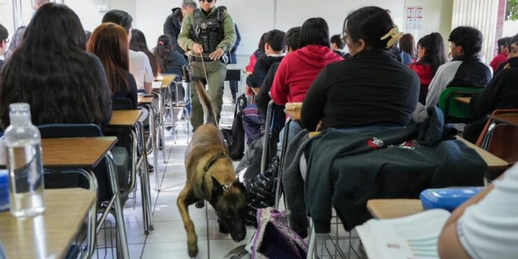 Inspeccionan CBTis 237 y Secundaria 78 en Tijuana con K9