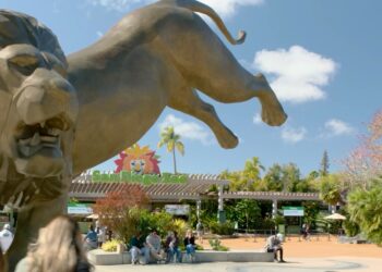 Amenaza de disparos en el Zoológico de San Diego durante el domingo